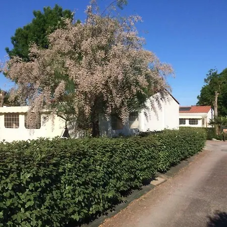 Maison Climatisee Avec Piscine